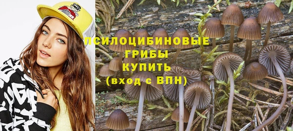 МДПВ Абинск