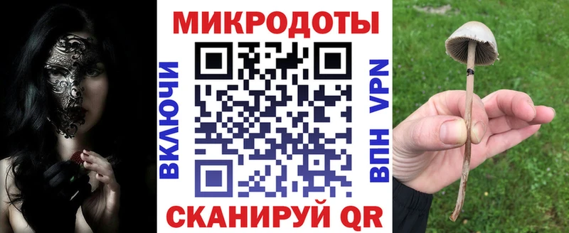 где можно купить наркотик  Поворино  Псилоцибиновые грибы мицелий 